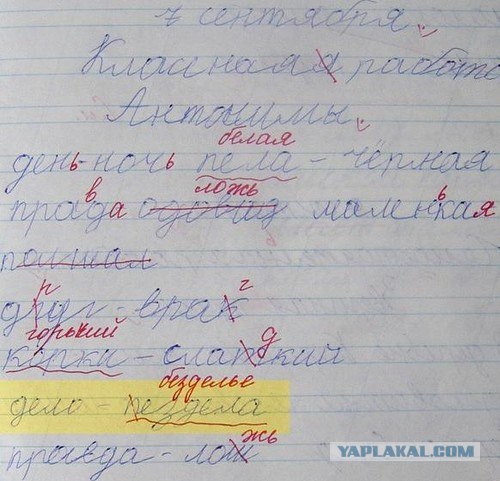 Волшебный хомяк
