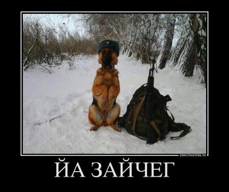 Мы Крымчане, мы дружинники....