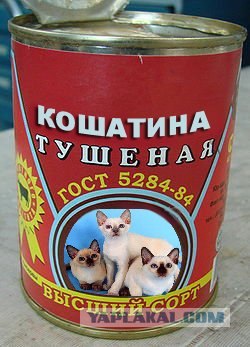 А потом суп с котом!