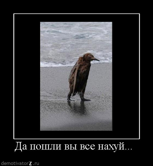 Демотиваторы.