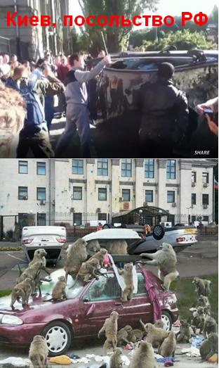 Штурм посольства России в Киеве