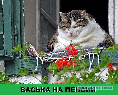 Улыбнуло часть "2"