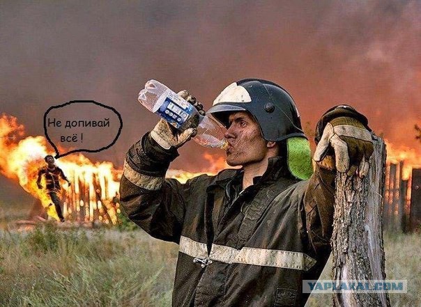 Комментарии и картинки из соц. сетей