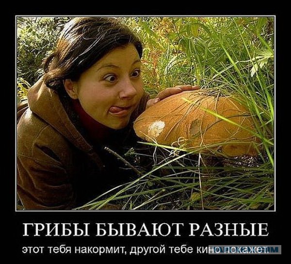Чёрт, чёрт, чёрт!