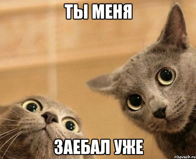 Немного позитива на пятницу