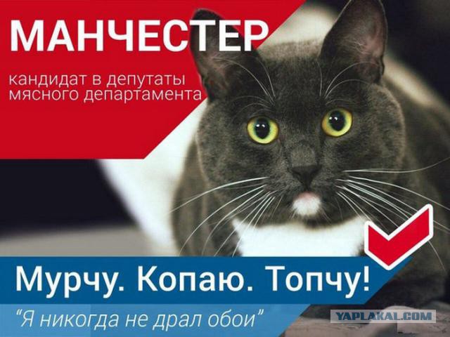 Смешное из сети