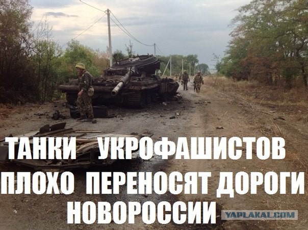 Свежие картинки из сети