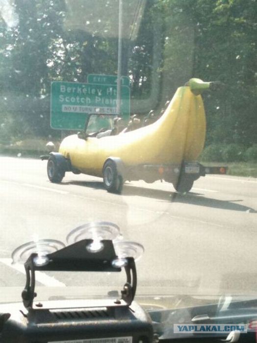 Весёлое из сети