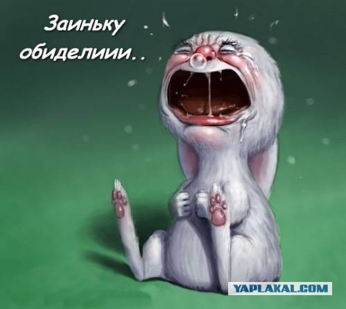 Завещание Яценюка