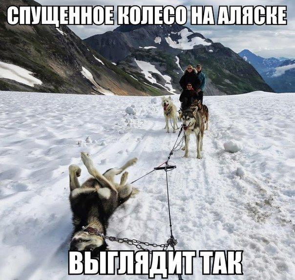 Забавные картинки из интернетов