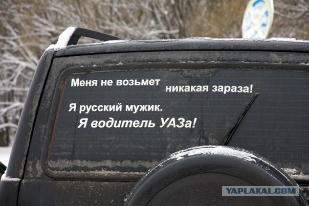 Надписи на авто.