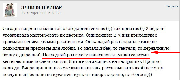Истории от ветеринаров