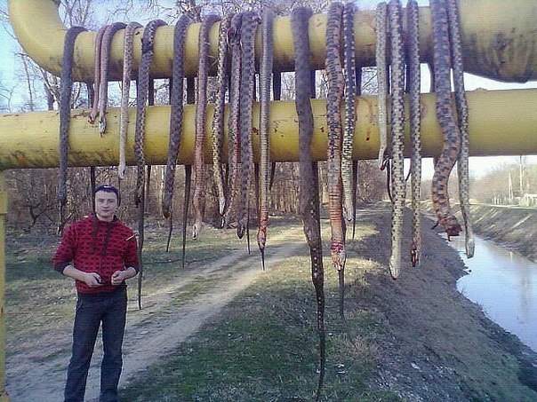 Ужасы и приколы из соцсетей 18+