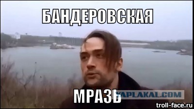 Пашинин: Мои друзья в России будут резать ОМОН