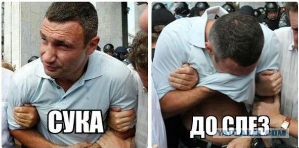 Пламенная речь Педалика: слёзы, мысли,