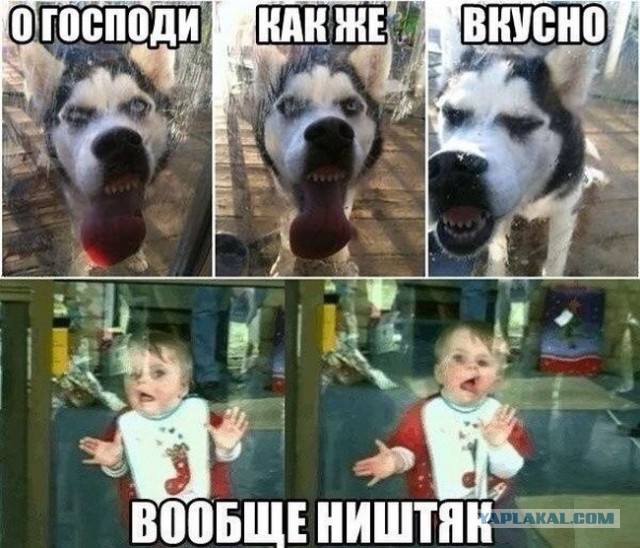Веселые картинки