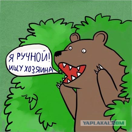 Плюсы и минусы жизни в России