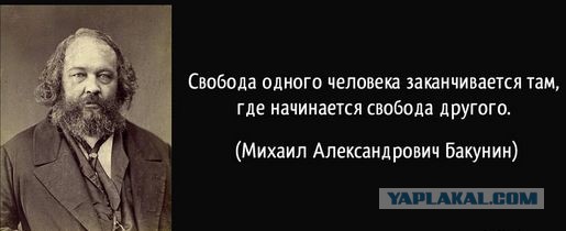 Собачка "доигралась"