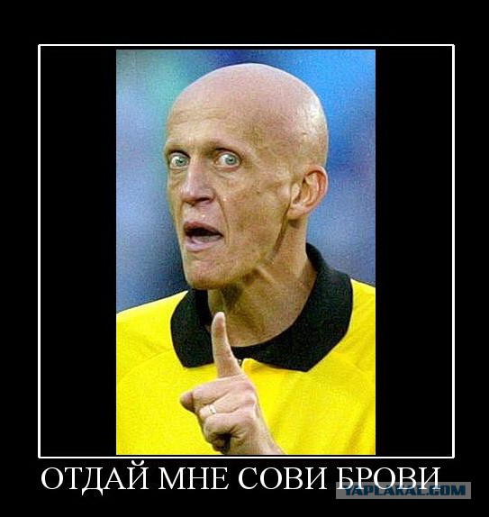 Когда они еще были волосатыми...