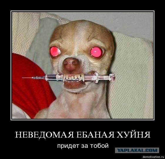 Порошенко и Эрдоган в Москве