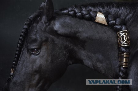 Картинки разные