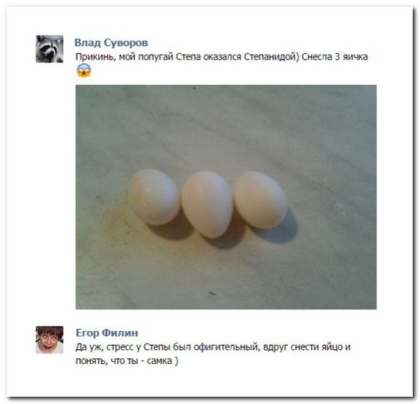 Ужасы и приколы из соцсетей 18+