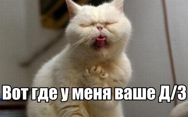 Подборка картинок из сети