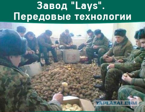 Картинки из сети