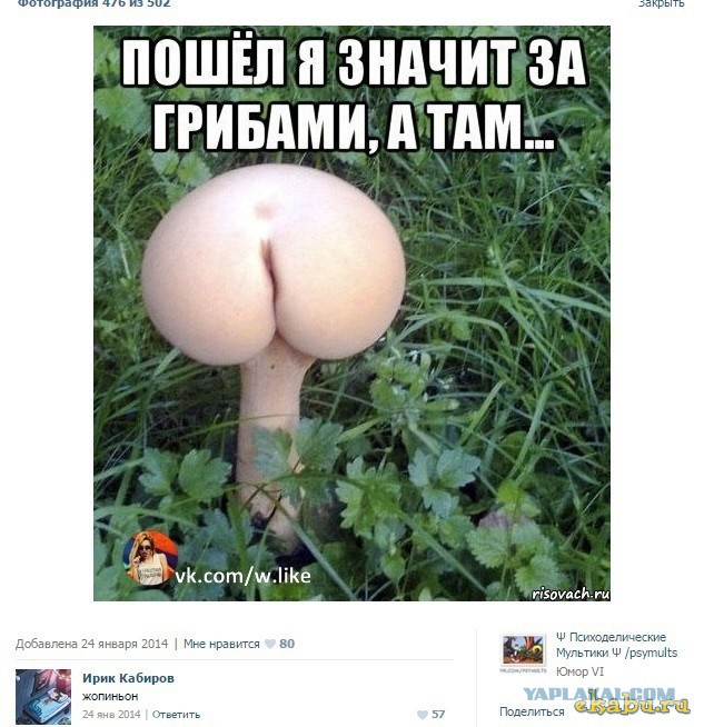 Смешные комментарии из социальных сетей 20.05.2016