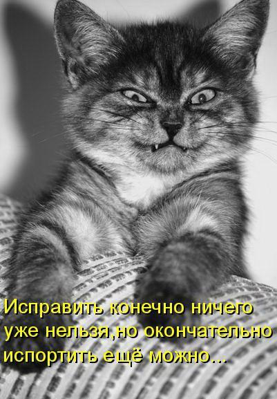 Мохнатые беспредельщики