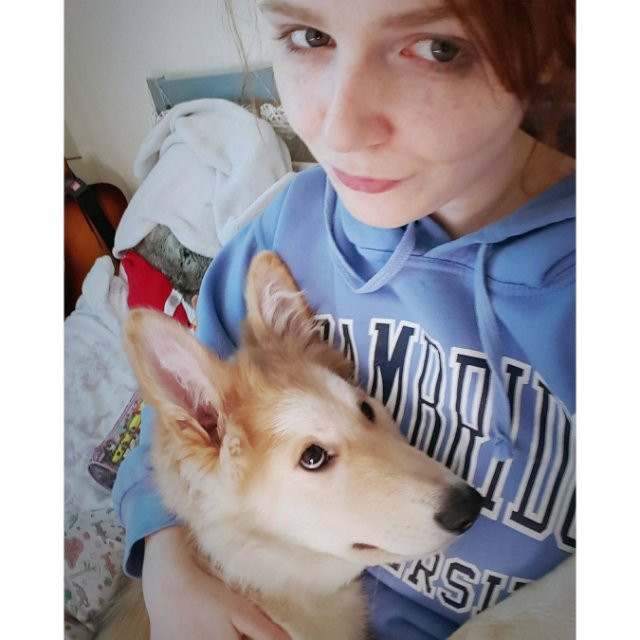 Прикольные животные