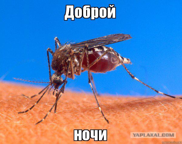 Повседневные вещи, которые являются более смертоносными, чем акулы