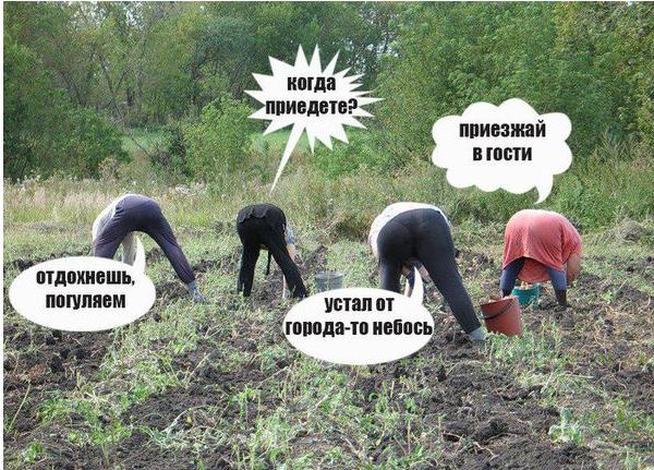 Менять ли дом на квартиру