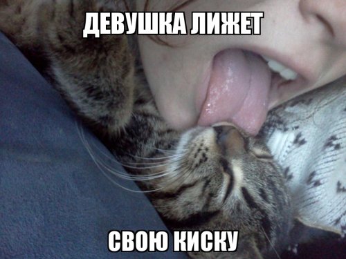Картинки с просторов