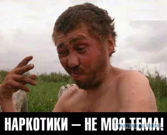 Чуйские будни