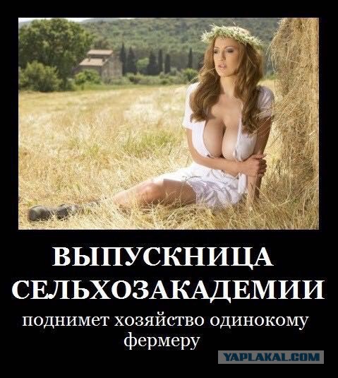 Забавные комментарии, шутки и фразы из этих ваших интернетов