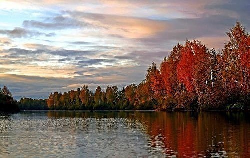 Всякие разные картинки