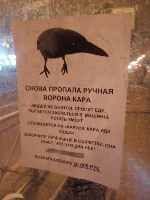 Подборка интересных и веселых картинок