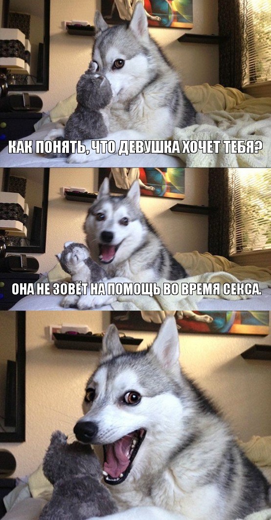 Не очень светлый и абсурдный юмор обо всём