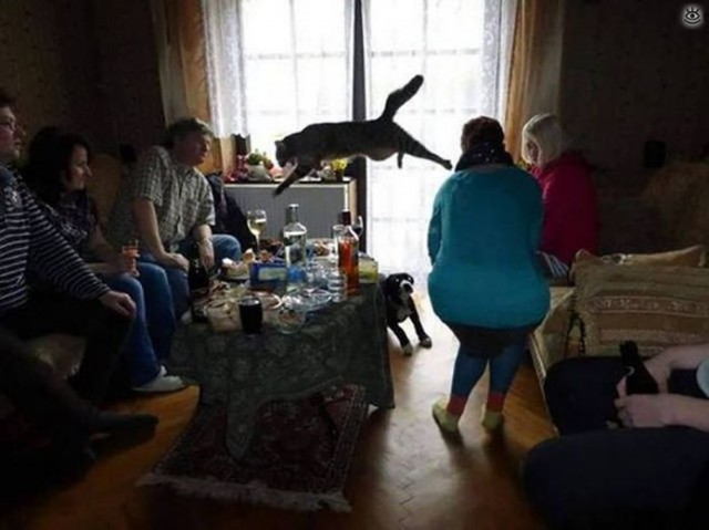Фото, которые можно было сделать только в один момент, и ни секундой позже.
