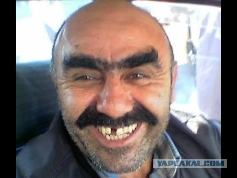Монобровь. Ну как на ЭТО может появиться "мода?!