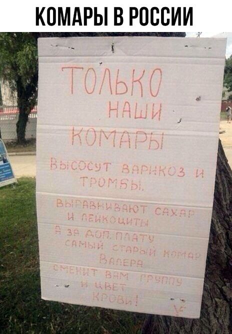 Прикольные надписи и объявления