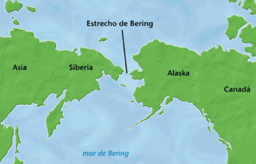 Викинги. История американских походов