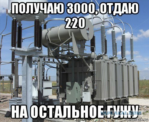 Блюдо дня