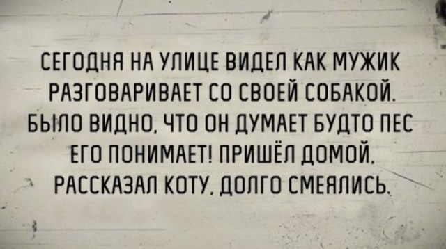 Собаки