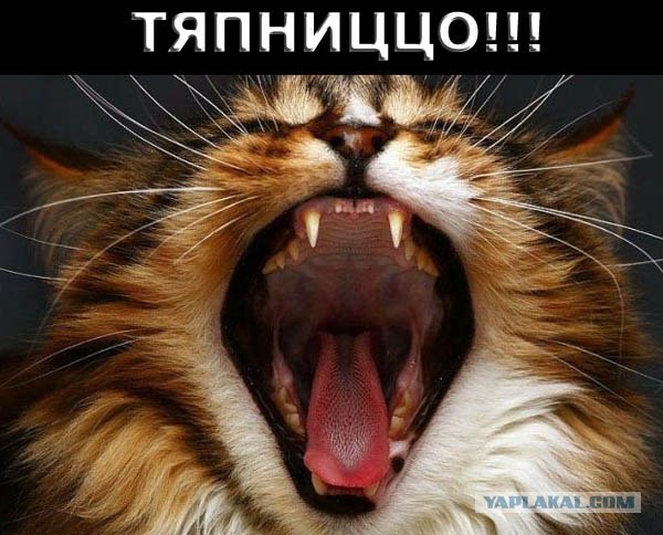 Христос воскресает дважды