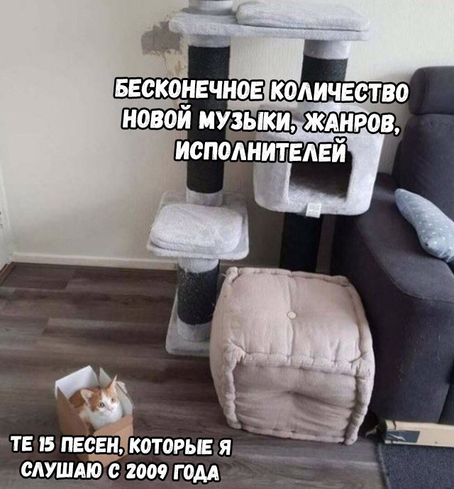 Фото, соц-сети и картинки с надписями