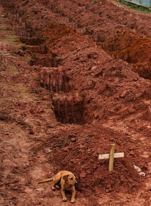 Прямо сейчас около здания правительства в Самаре стоит гроб с мертвым человеком внутри