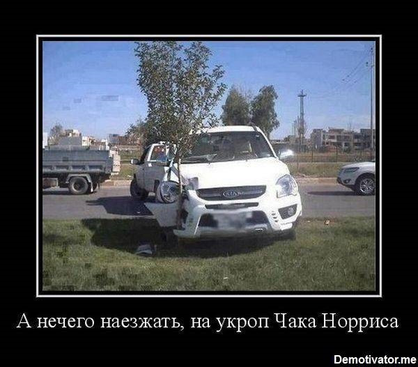10 марта 1940 года родился Чак Норрис (Chuk Norris) (настоящее имя Карлос Рэй Норрис, Carlos Ray Norris), американский киноактер