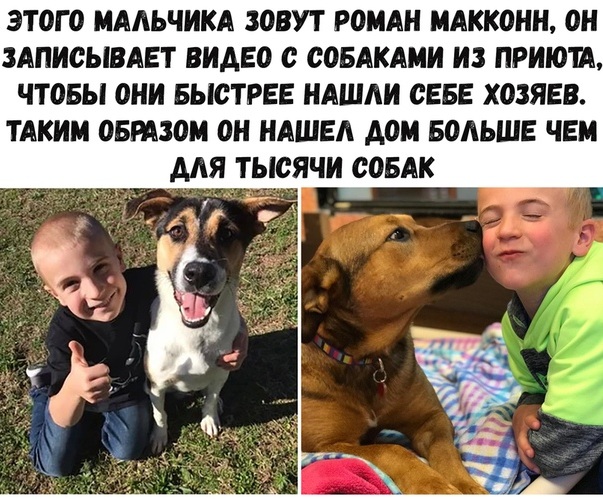 «Картинки разные нужны, картинки разные важны» 21.09